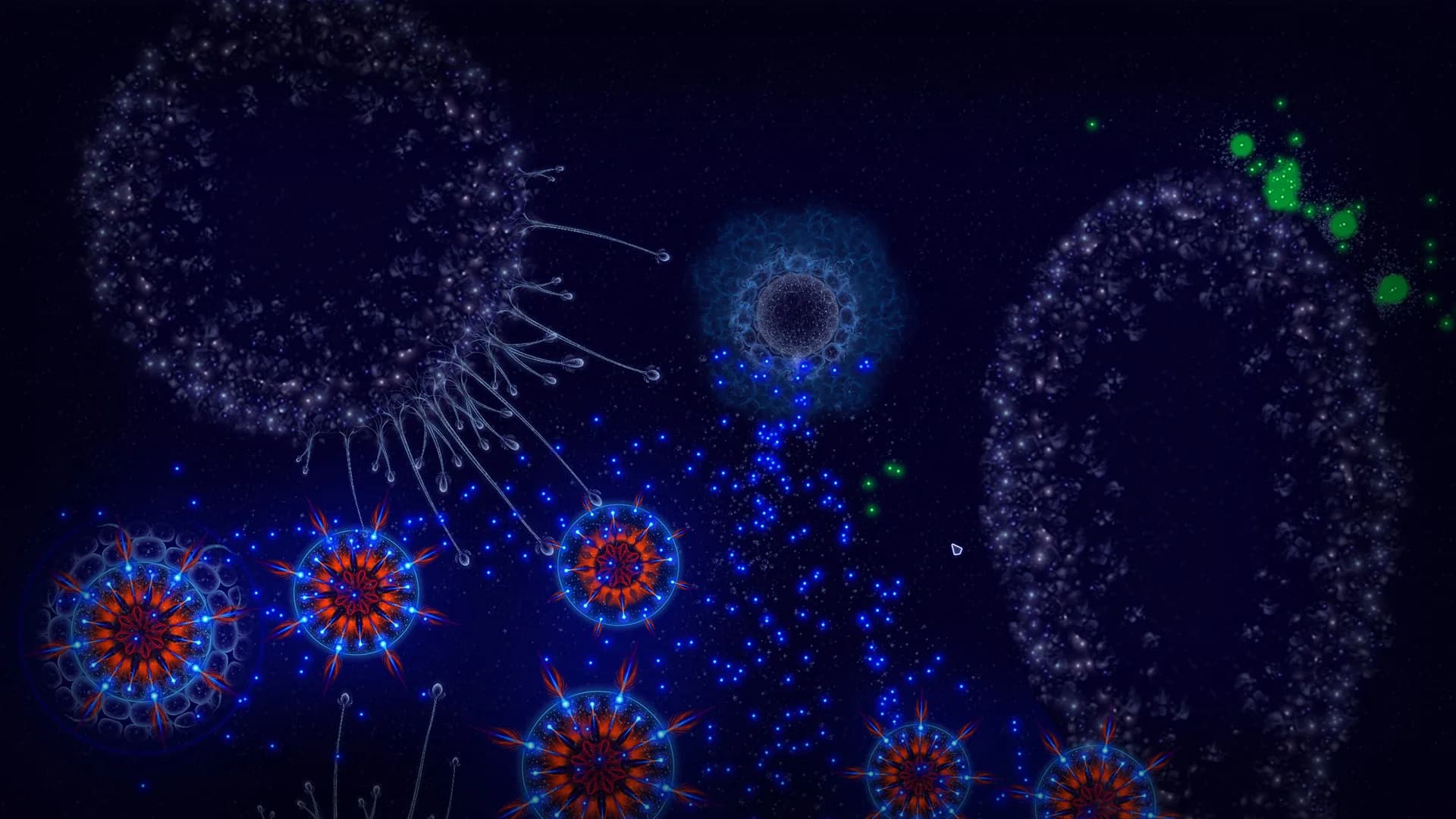 Microcosmum: survival of cells görsel 8