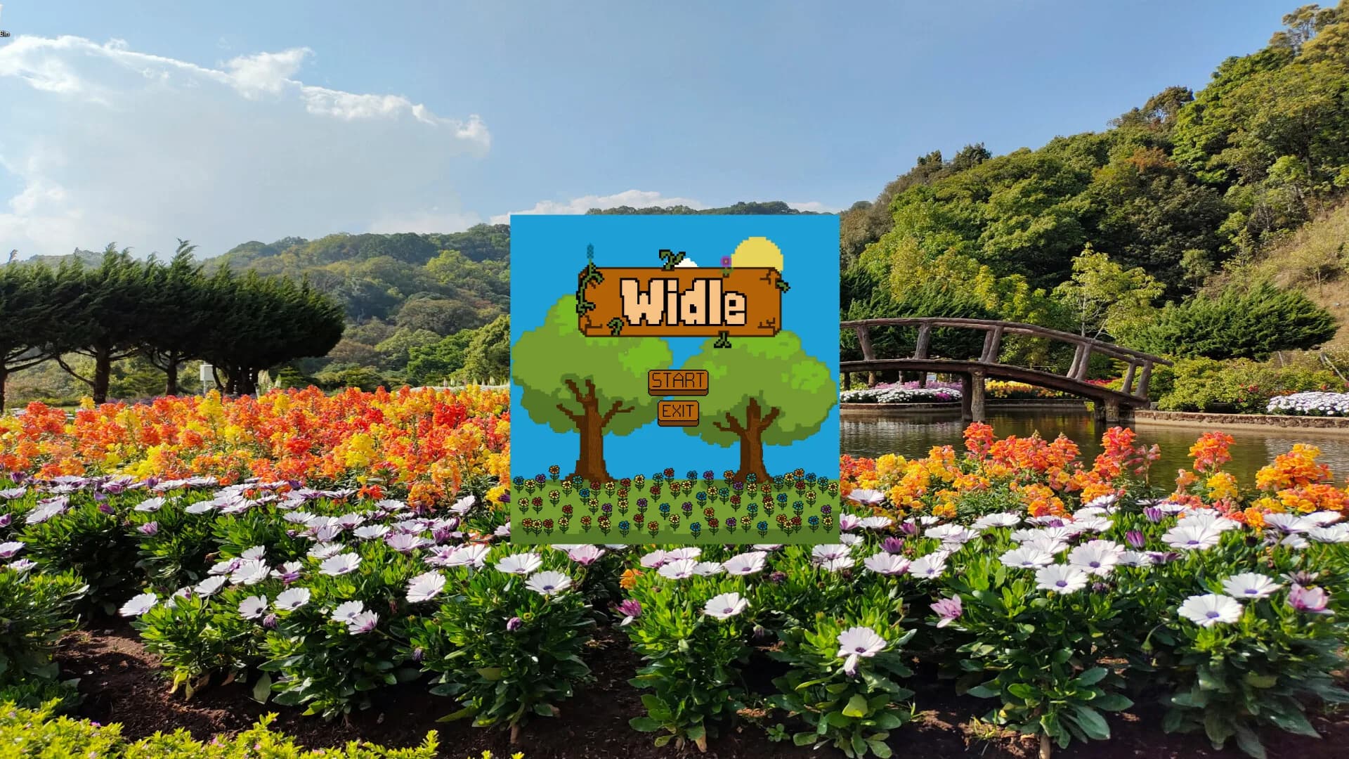 Widle görsel 2