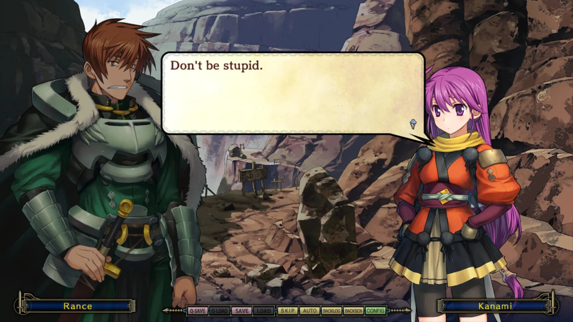 Rance IX görsel 2