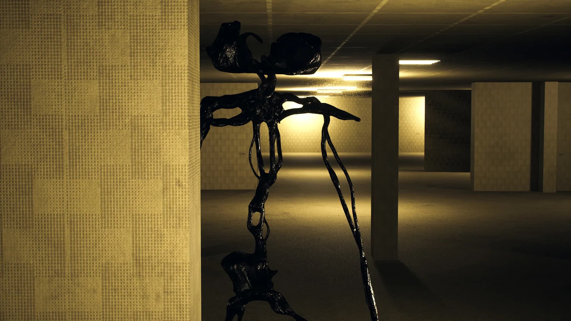 Backrooms M.E.G görsel 4