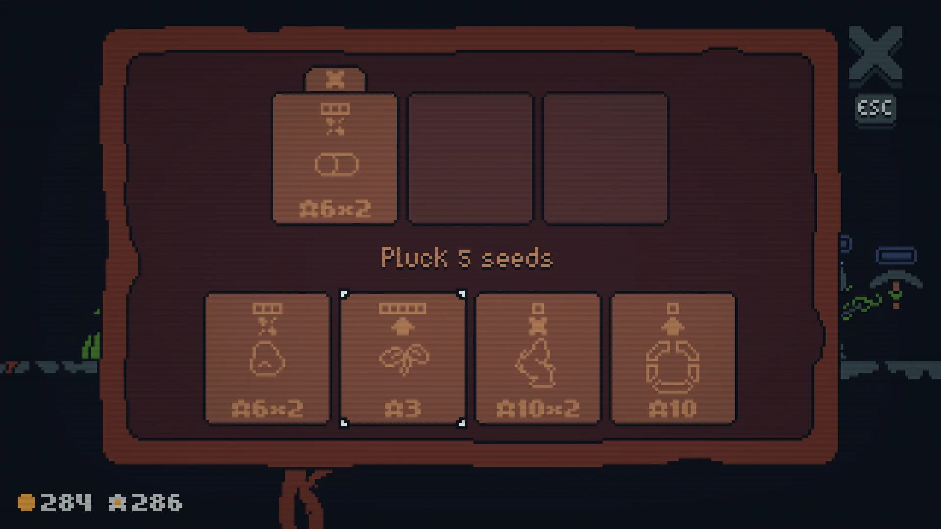 Seedrun görsel 6