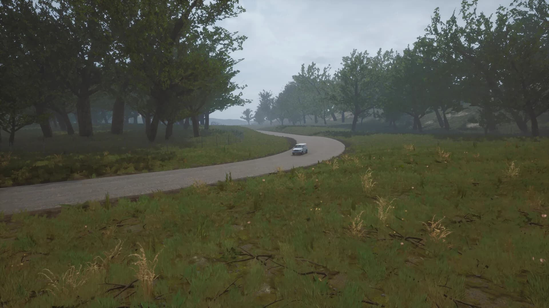 Velocity Racing: 1000 görsel 20