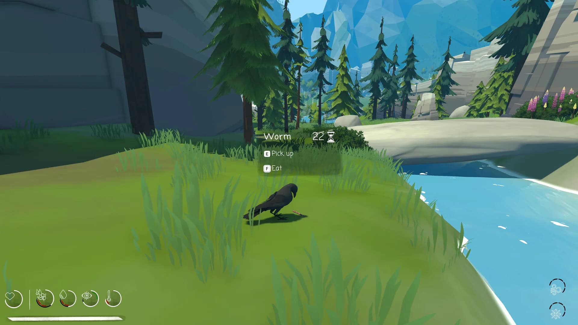 Migration görsel 2
