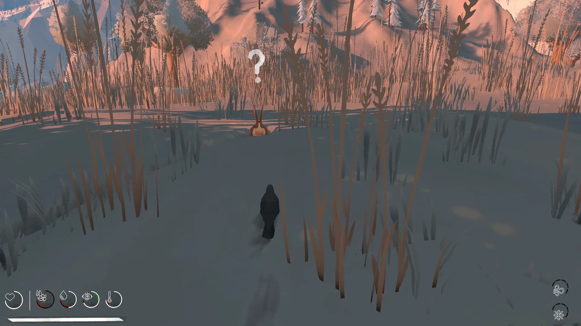 Migration görsel 4
