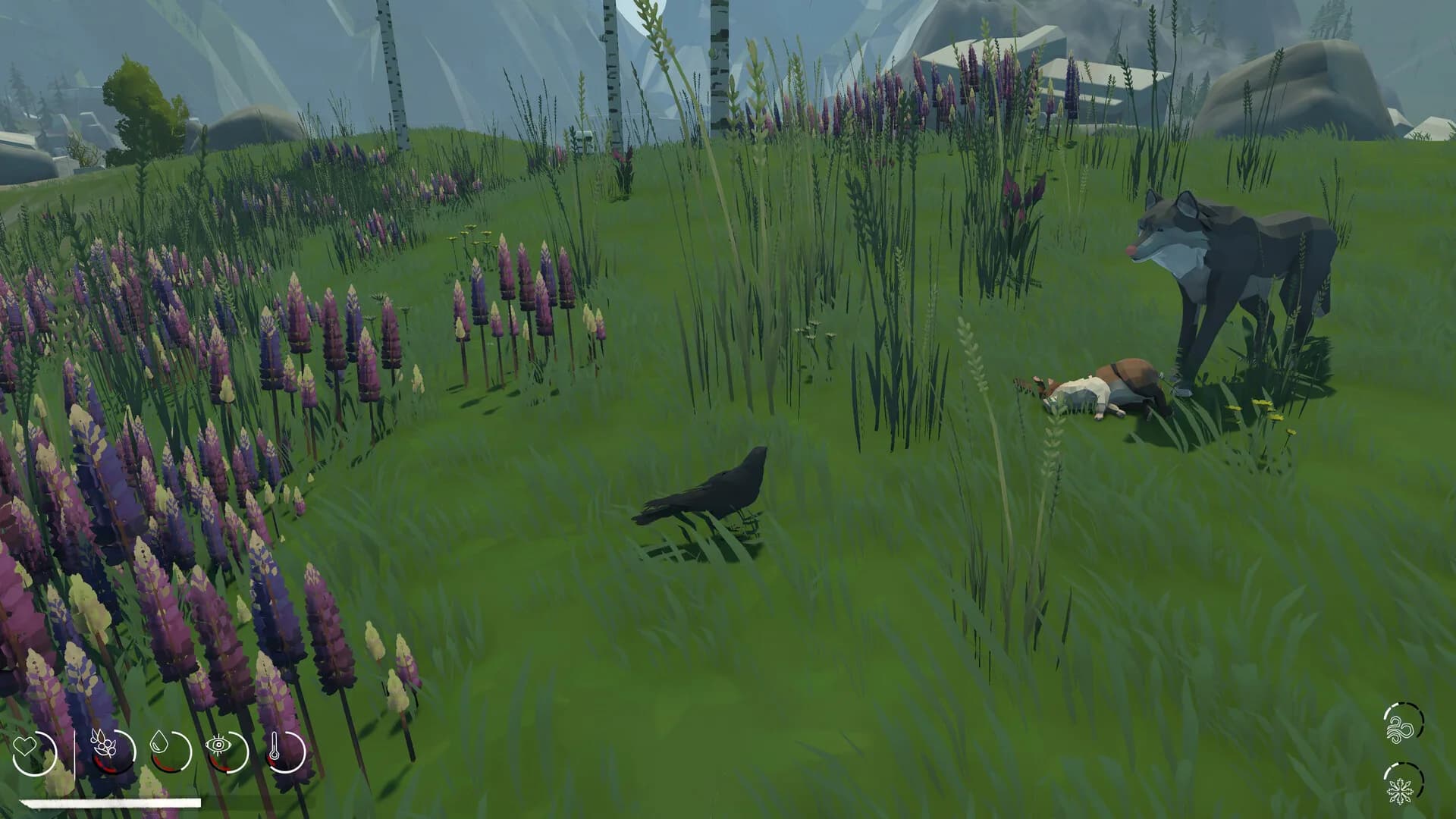 Migration görsel 6