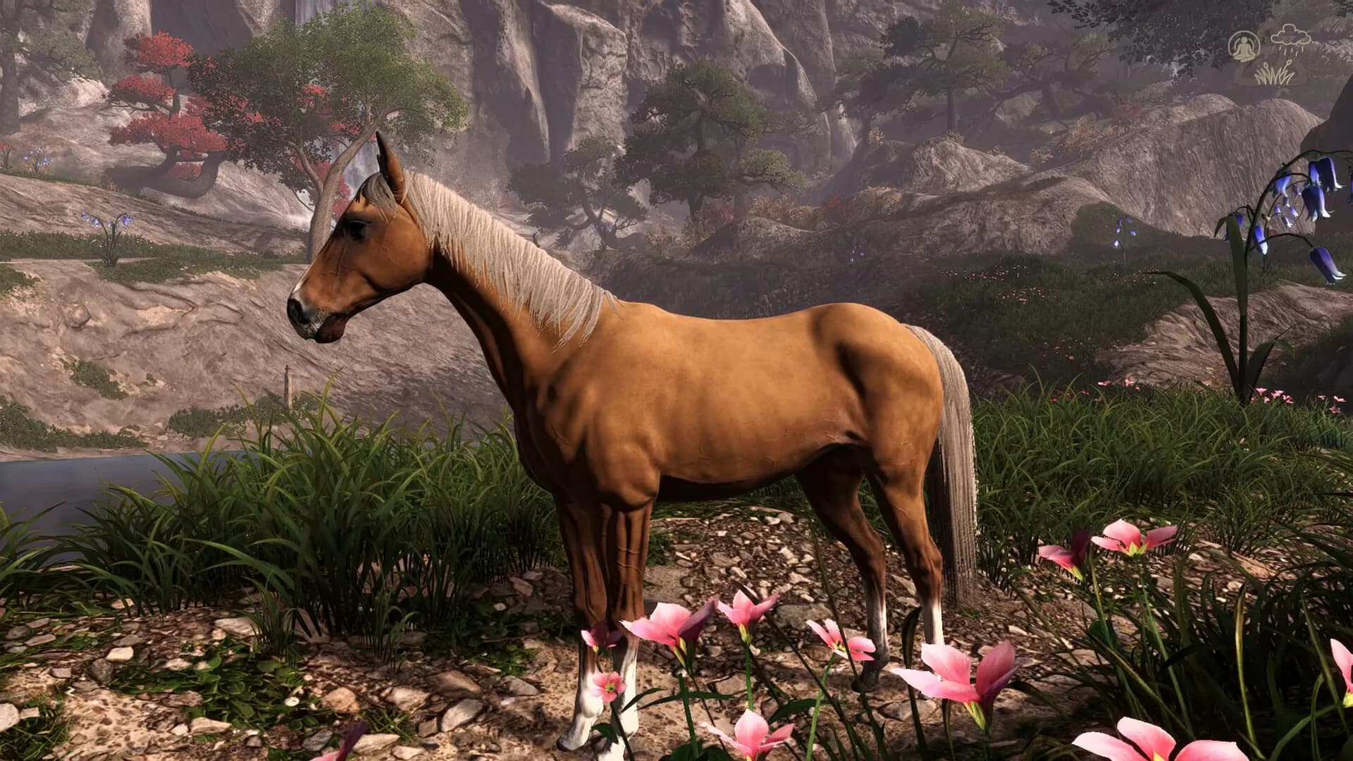 Equitania görsel 11