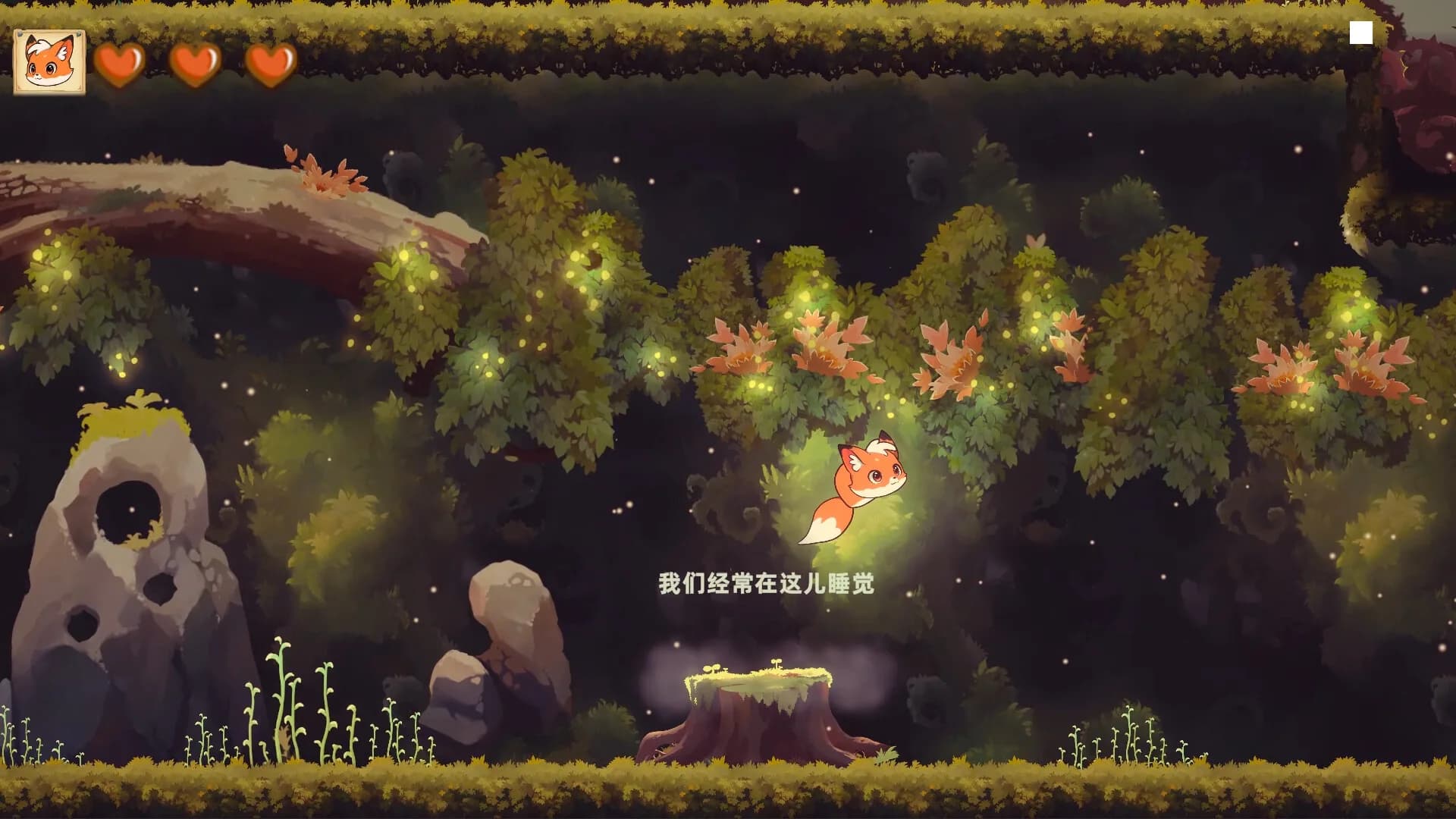 归途之森 görsel 2
