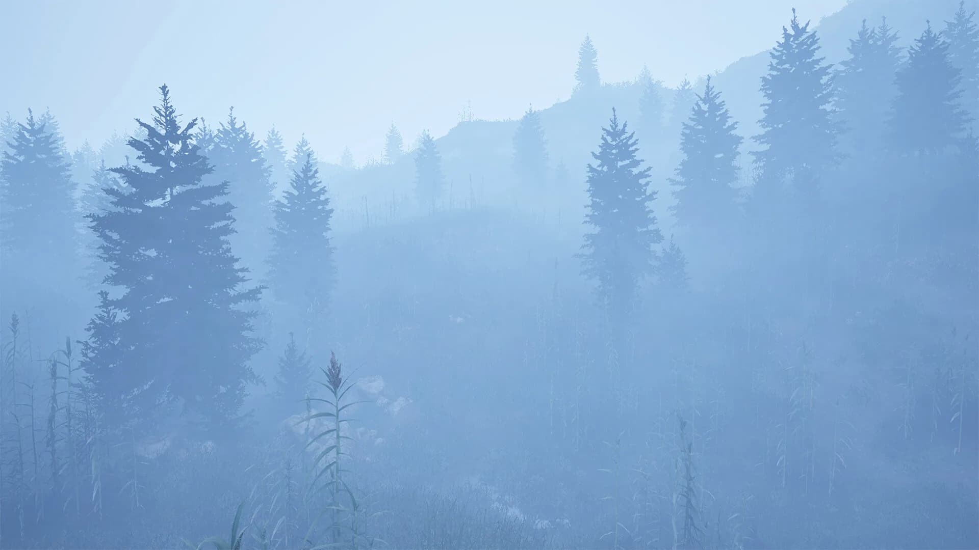The Valley Beyond görsel 15