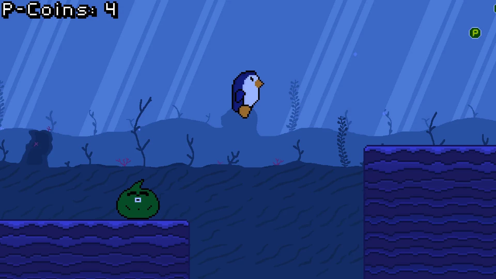 Pingorile görsel 4