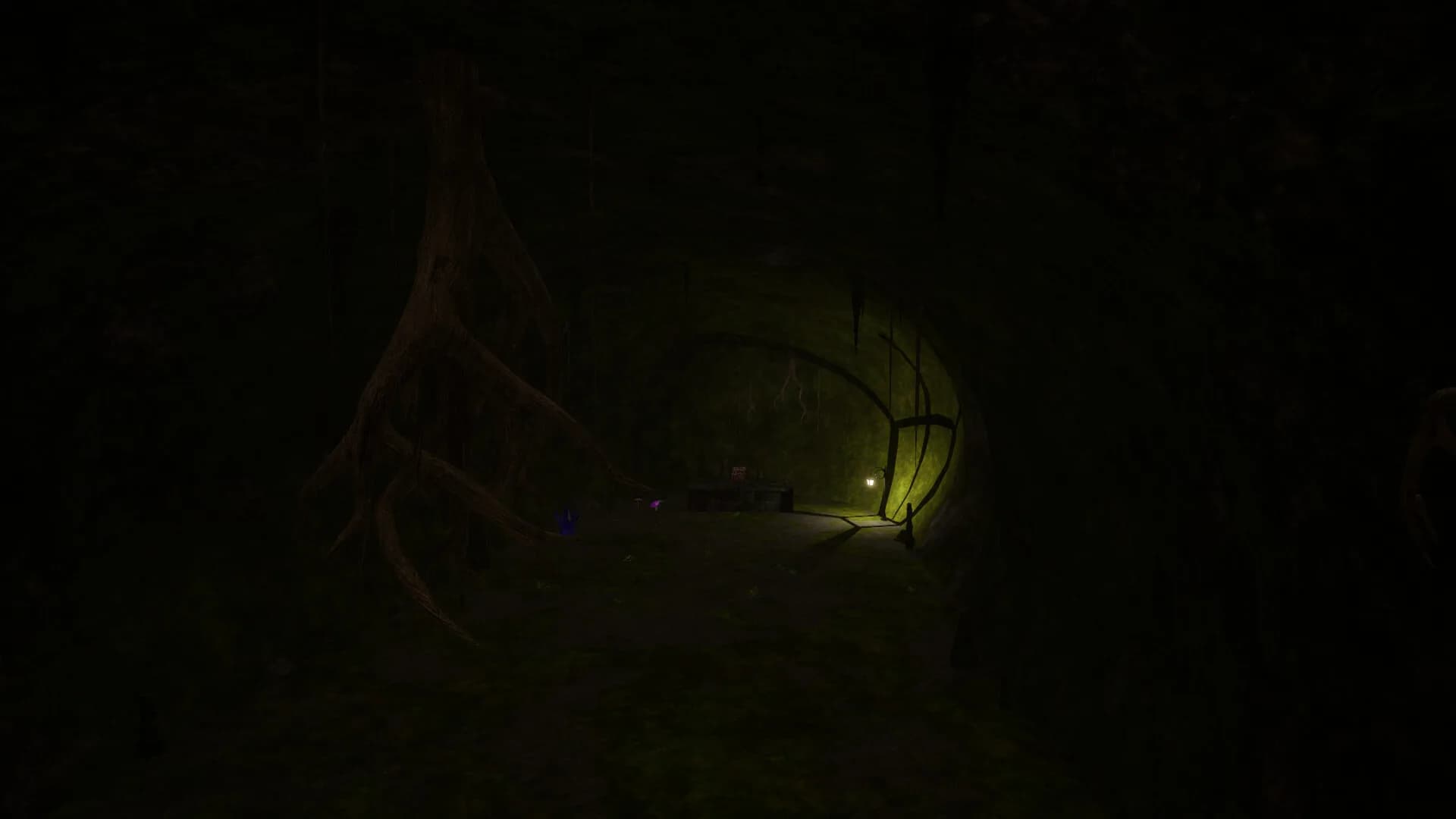 Fynn's Passage görsel 14