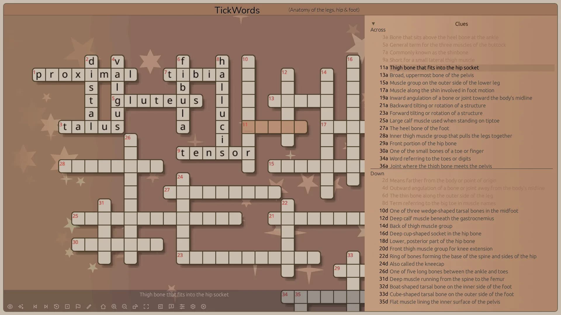 TickWords görsel 3