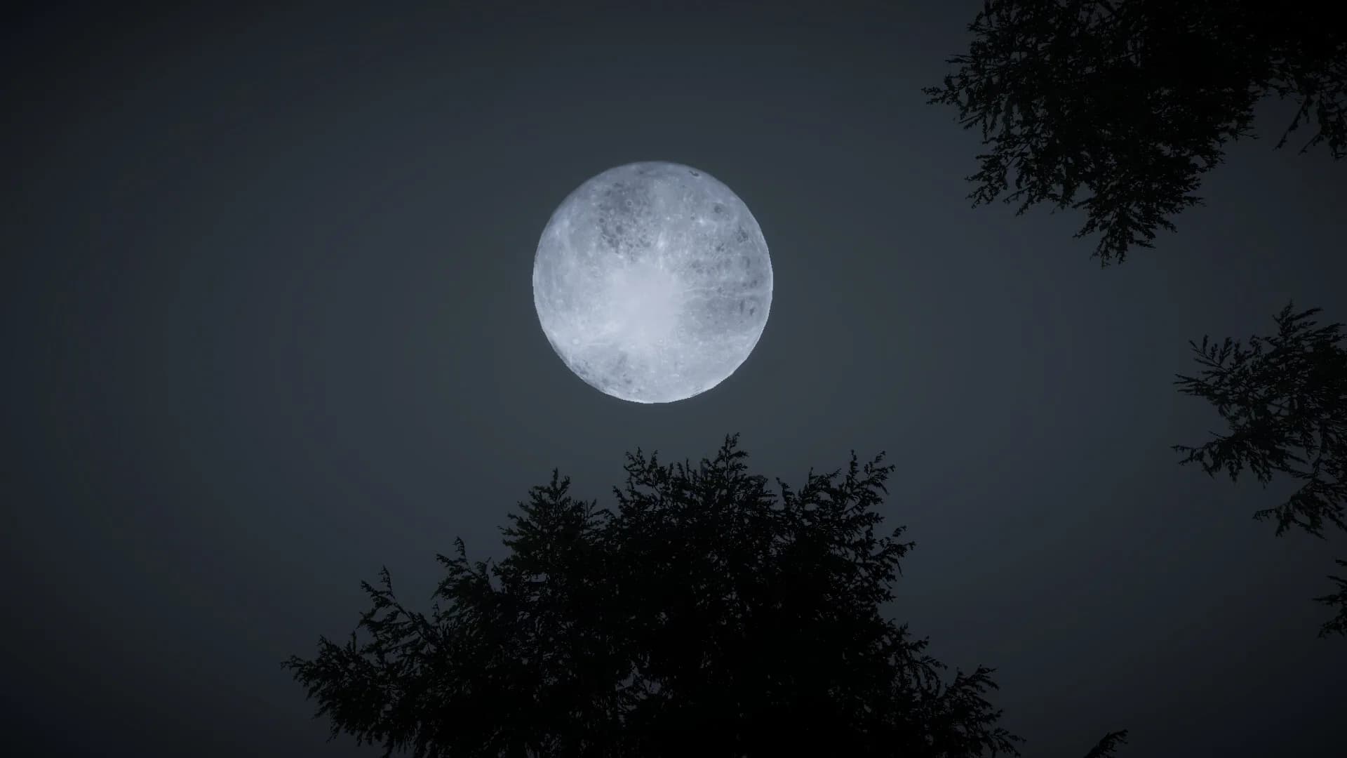 Moonsteel görsel 4