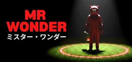 Mr Wonder