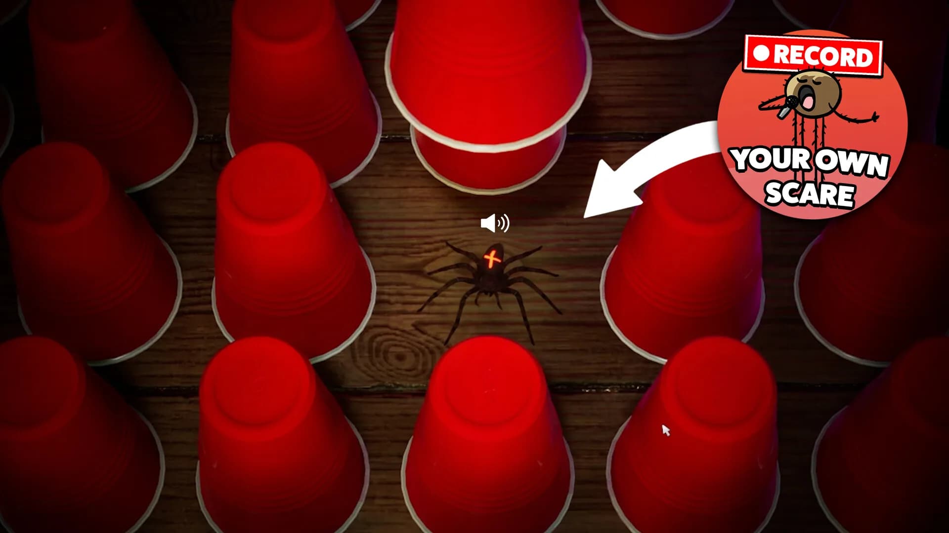 Spider Roulette görsel 3