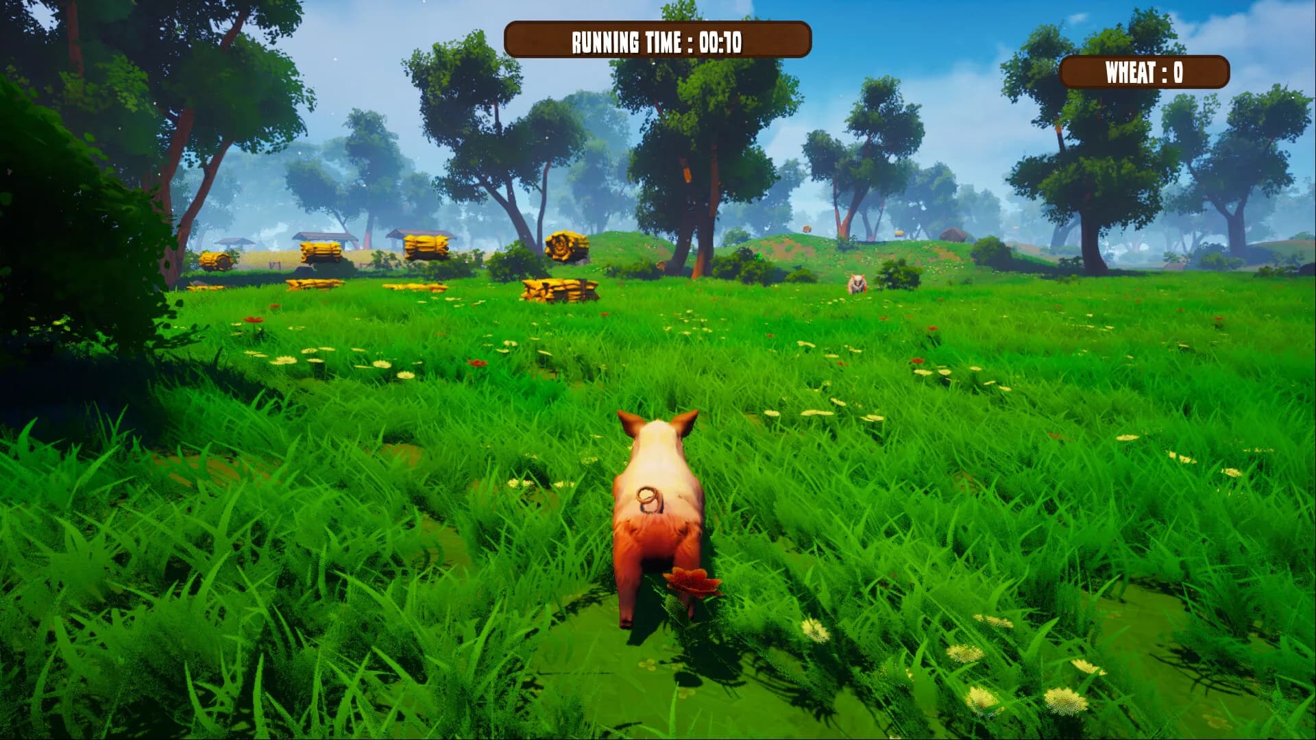 Runimals görsel 6