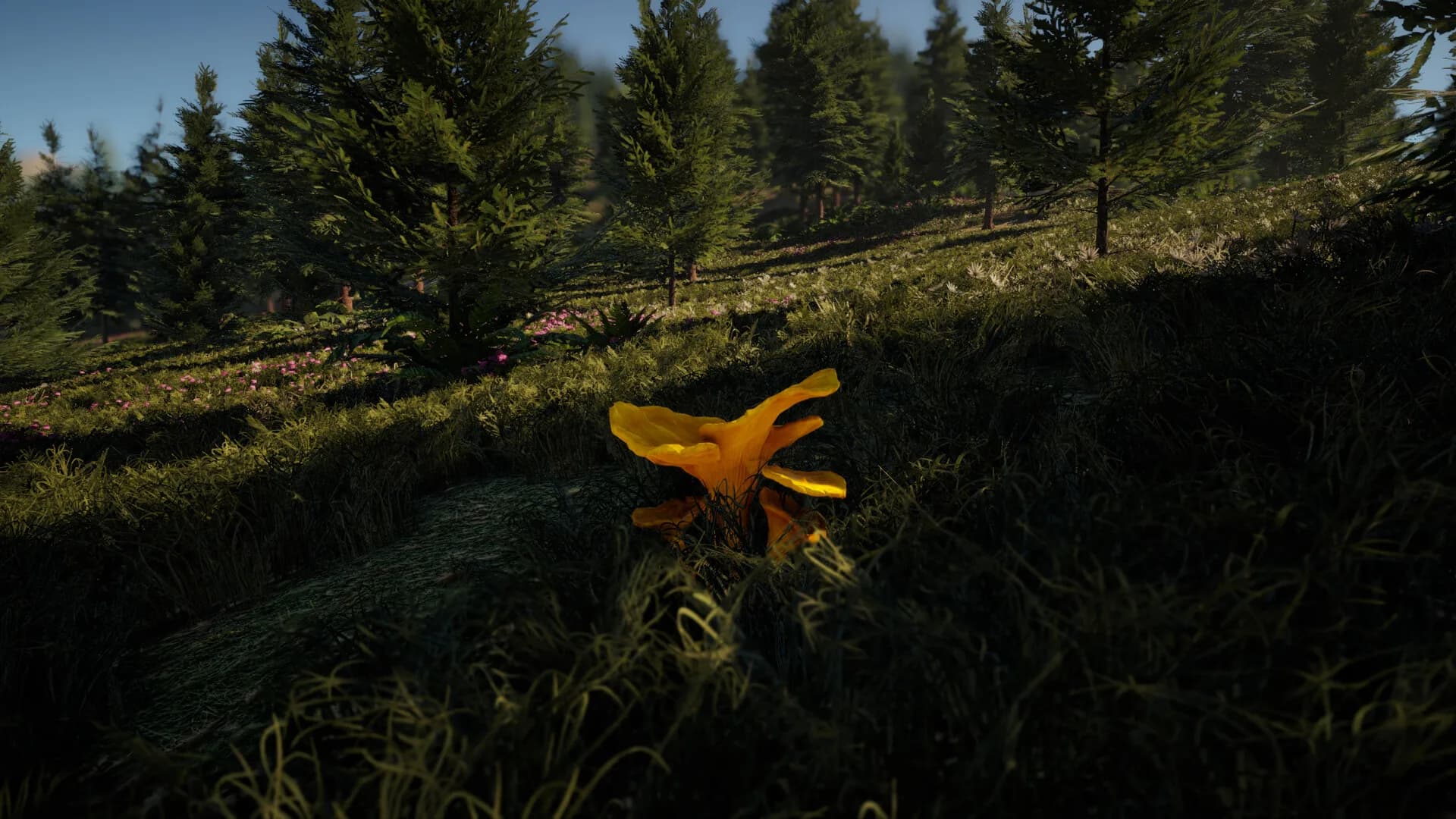 Forager's Finds görsel 2