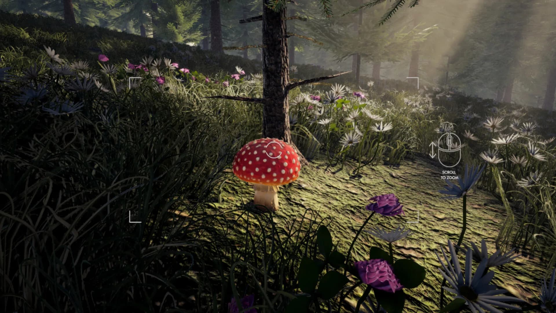 Forager's Finds görsel 3