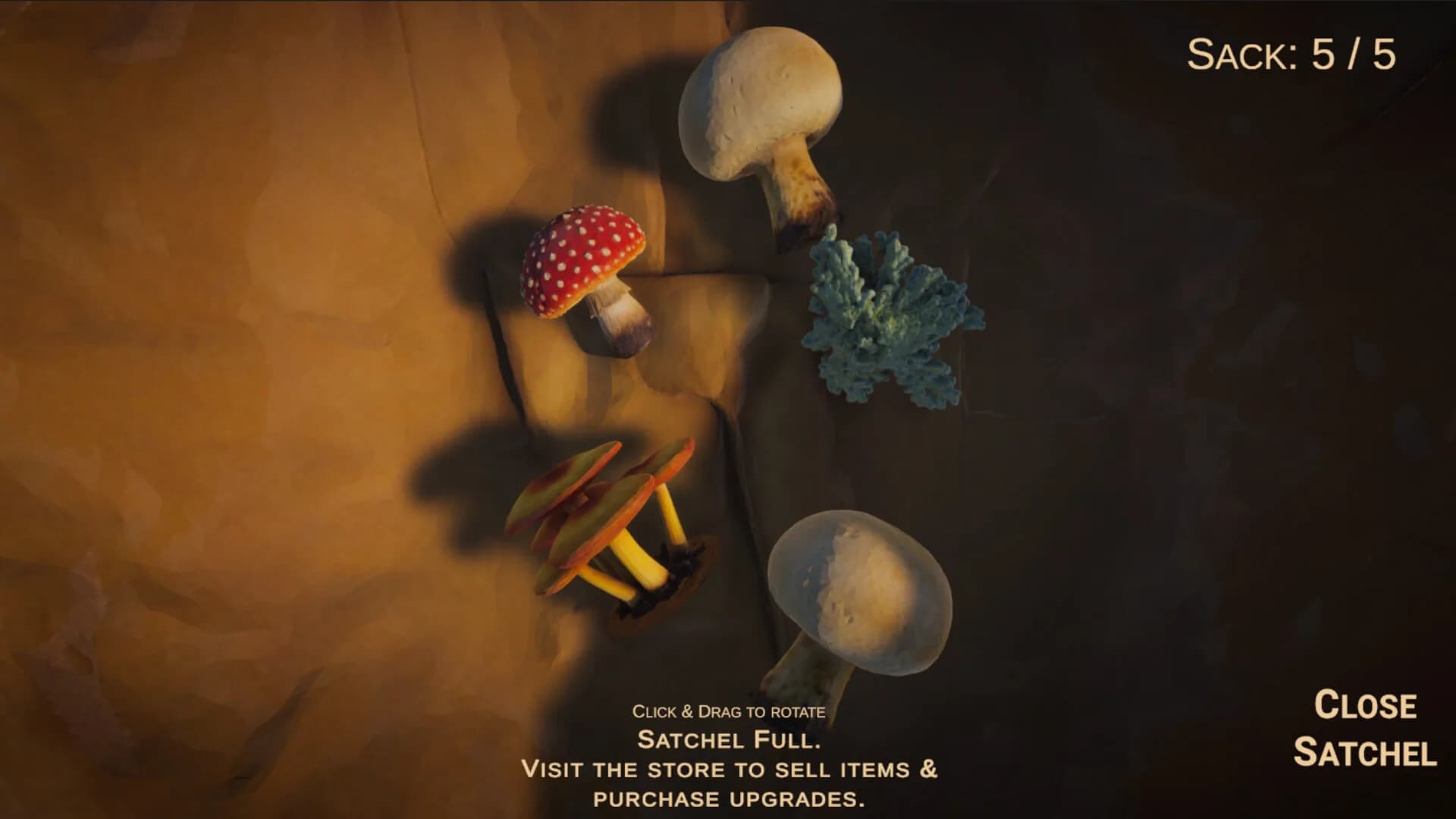 Forager's Finds görsel 4