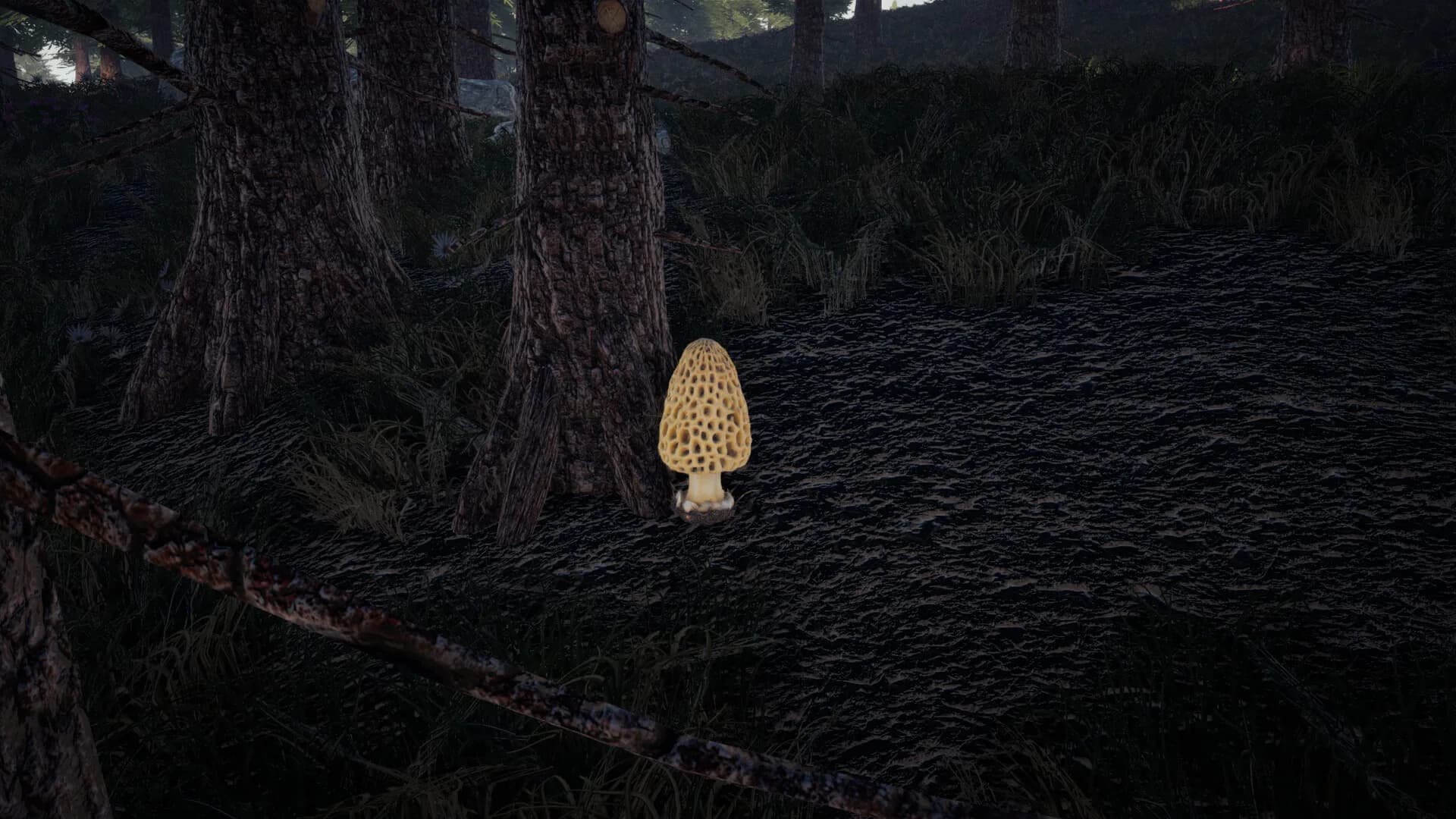 Forager's Finds görsel 7