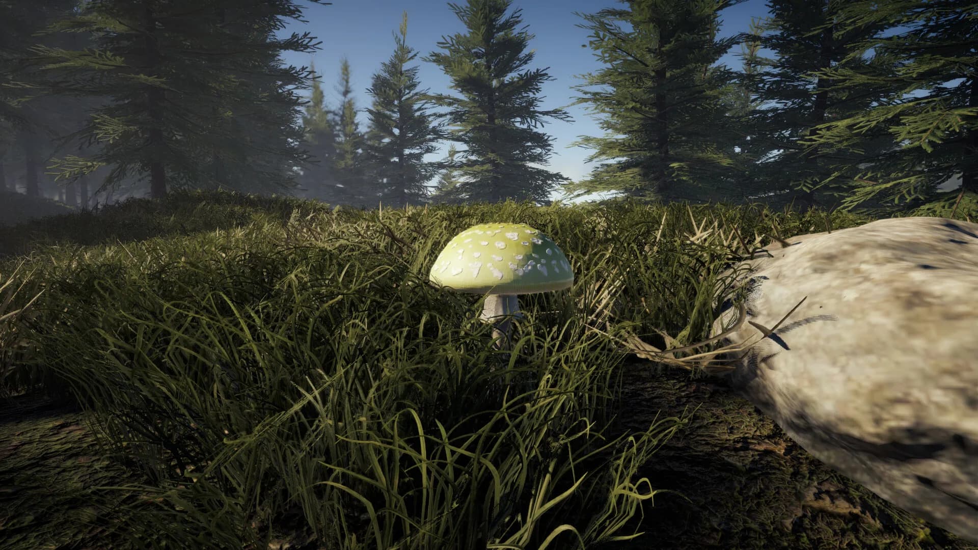 Forager's Finds görsel 10