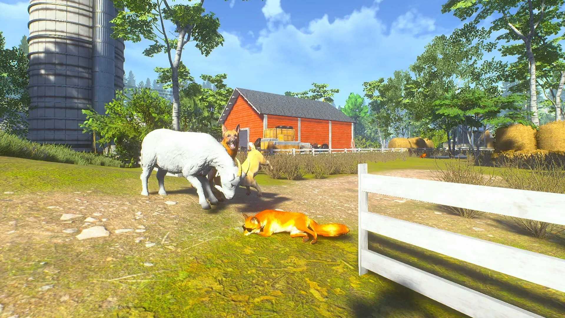 Chill Fox görsel 5