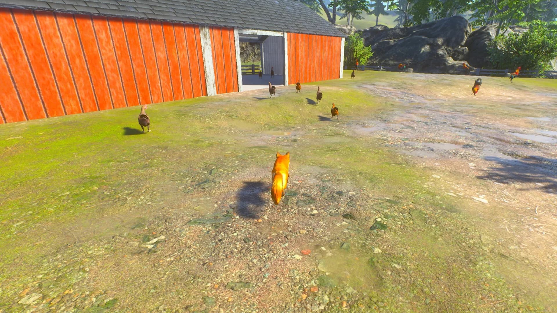Chill Fox görsel 6