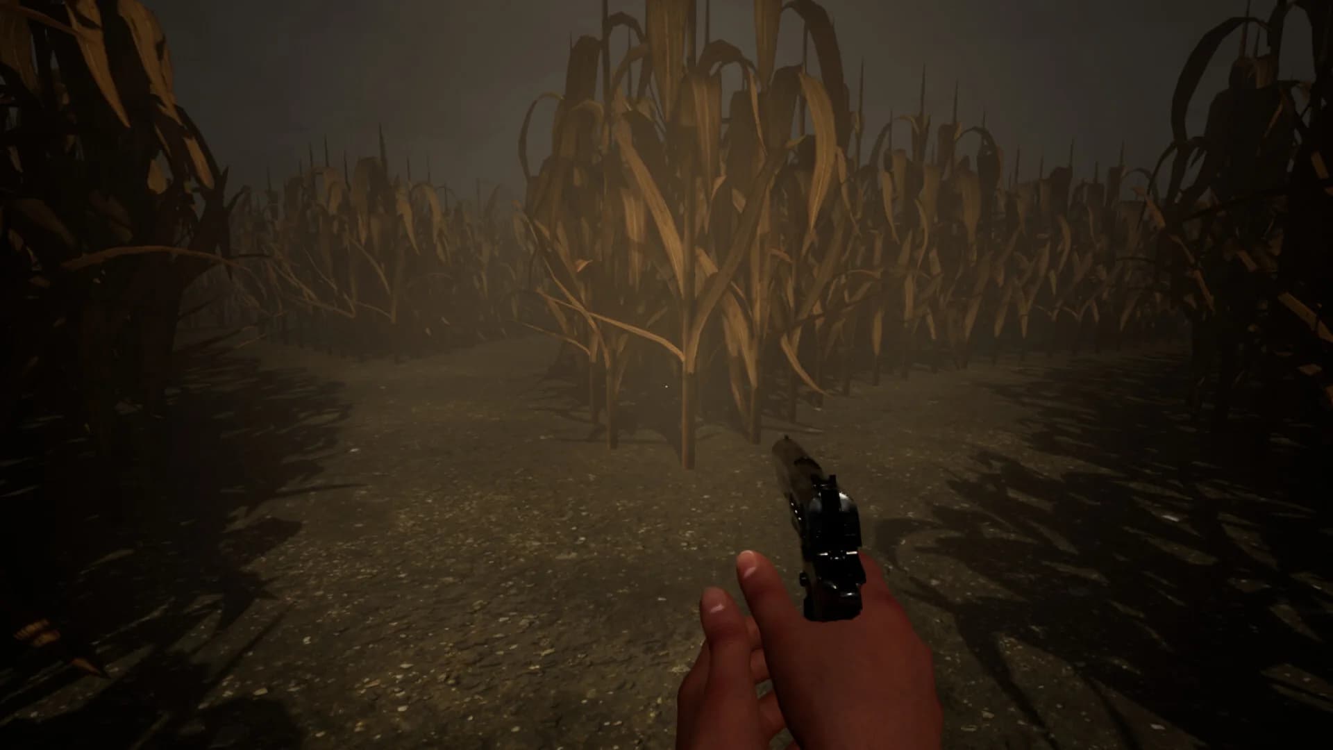 The Corn Maze: Rebirth görsel 6