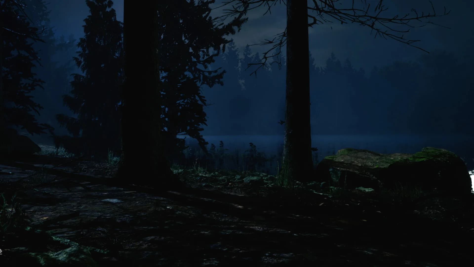 "217" A Psychological Survival Thriller görsel 5