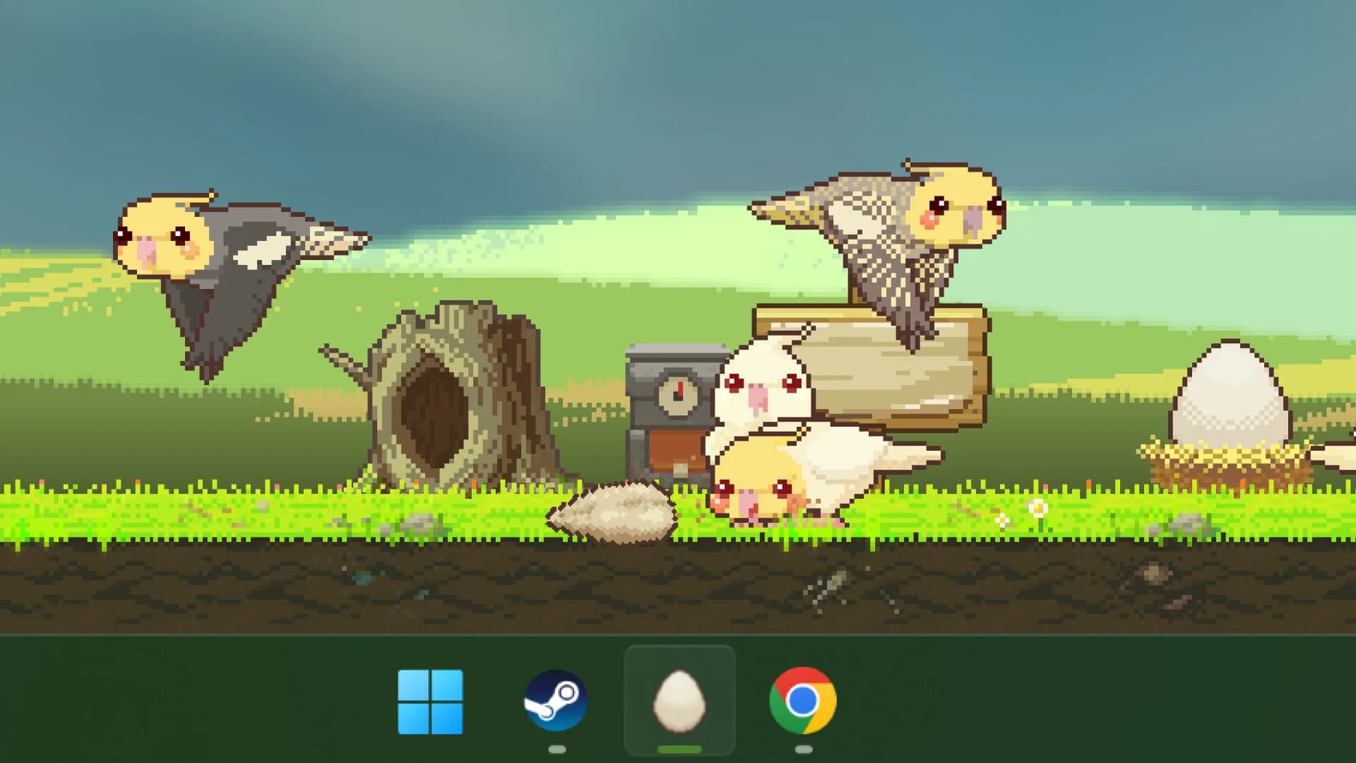 蛋岛的鸟The Birdies of Egg Island görsel 3