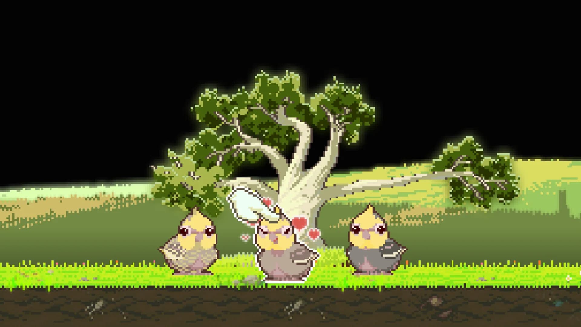 蛋岛的鸟The Birdies of Egg Island görsel 4
