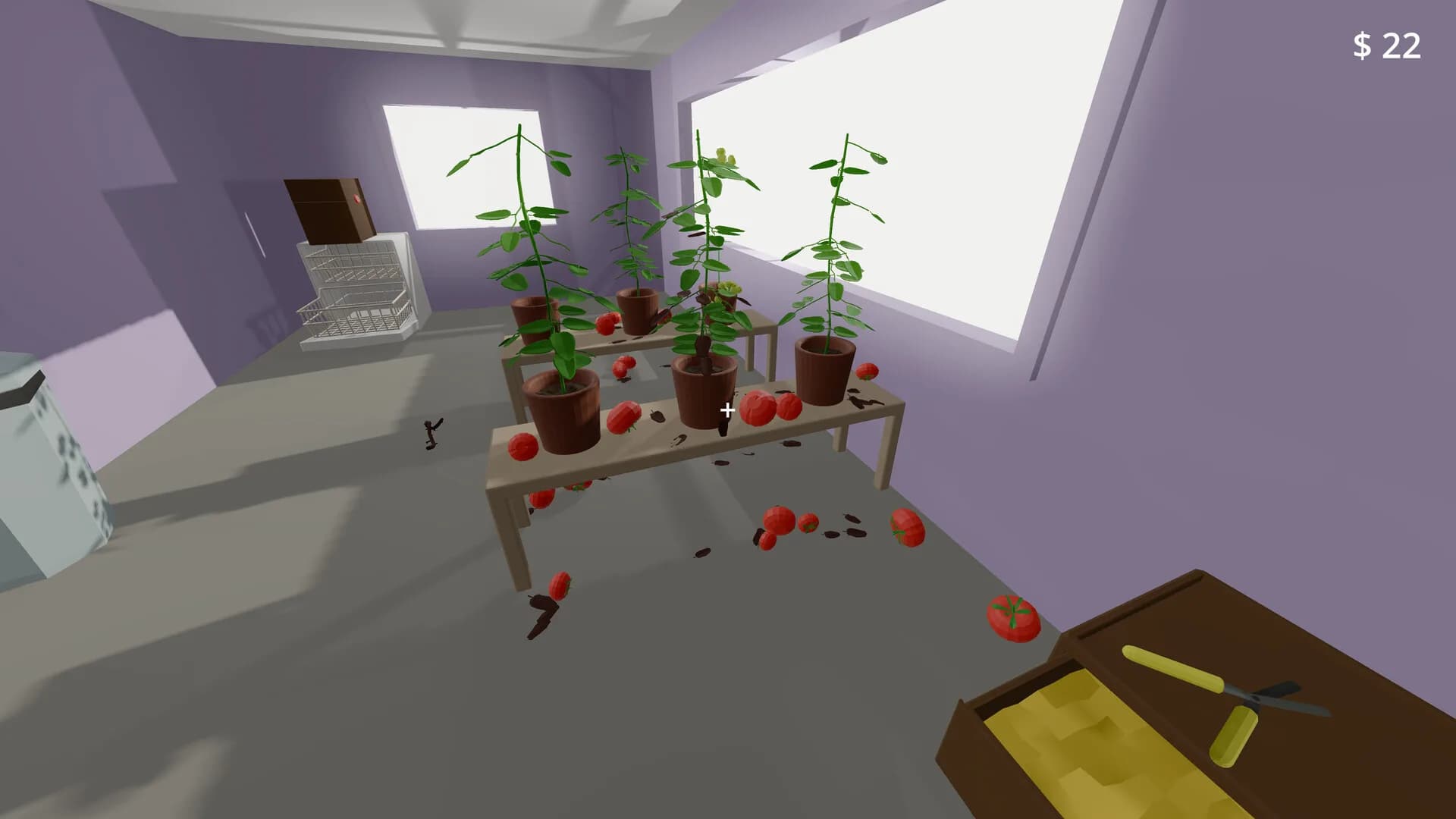 Tomato Dealer görsel 3