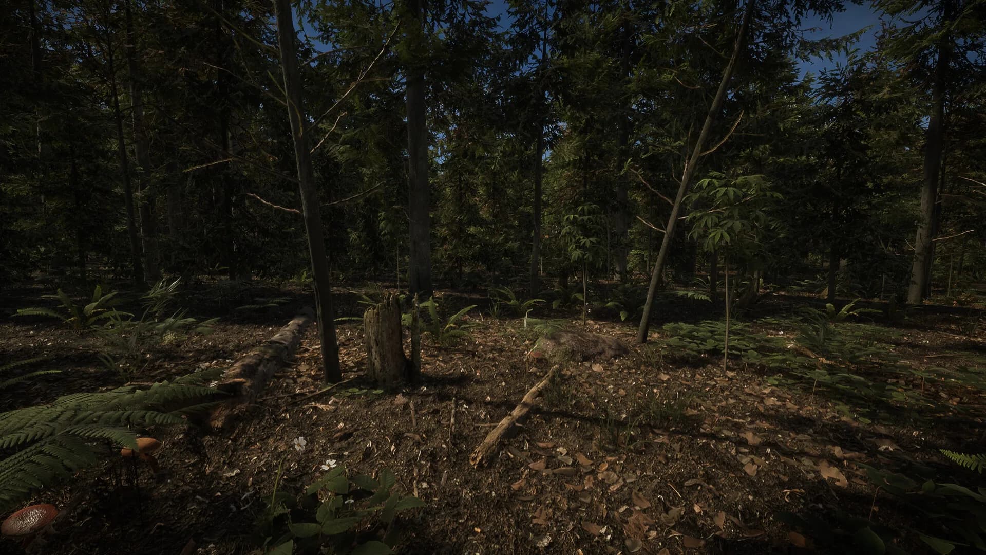 Forest of Lost Wanderers görsel 2