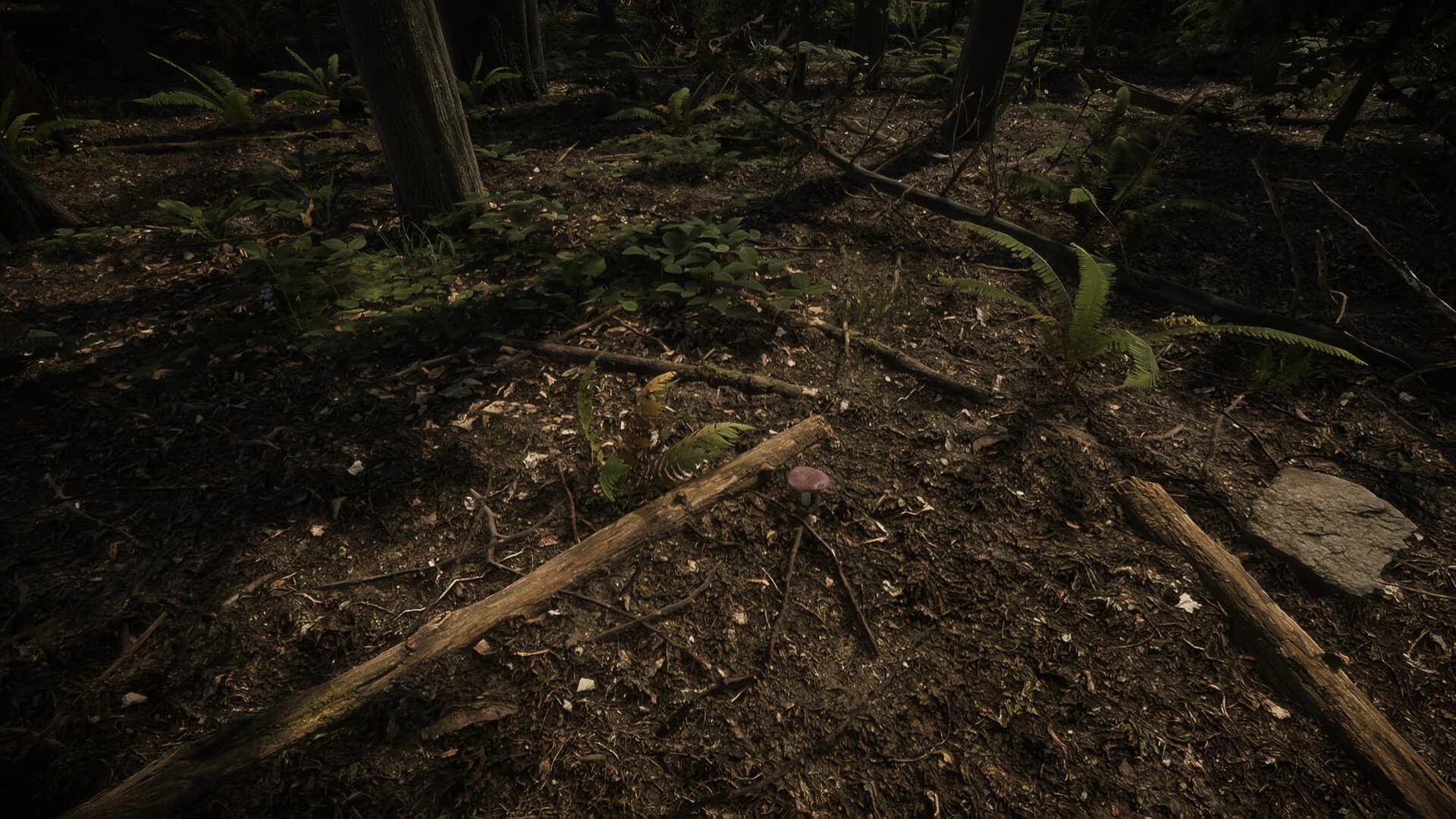 Forest of Lost Wanderers görsel 3