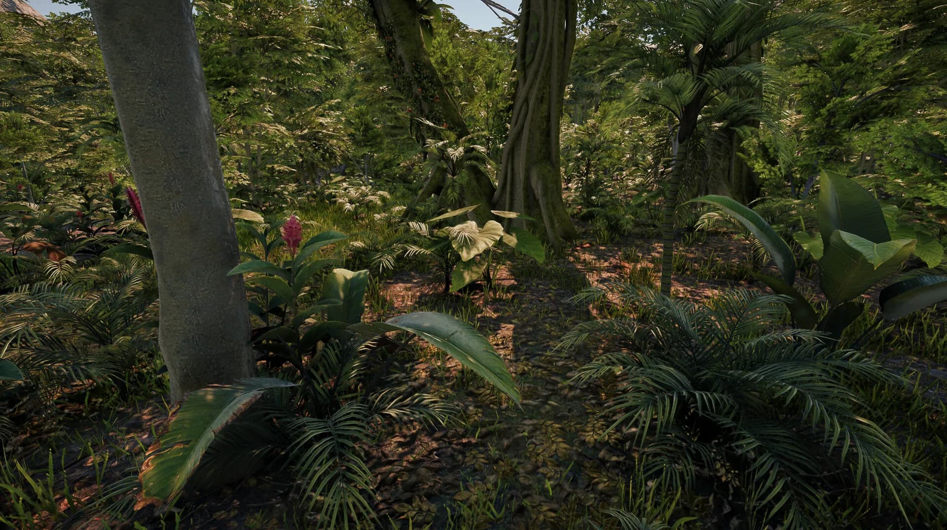 Forest of Lost Wanderers görsel 4