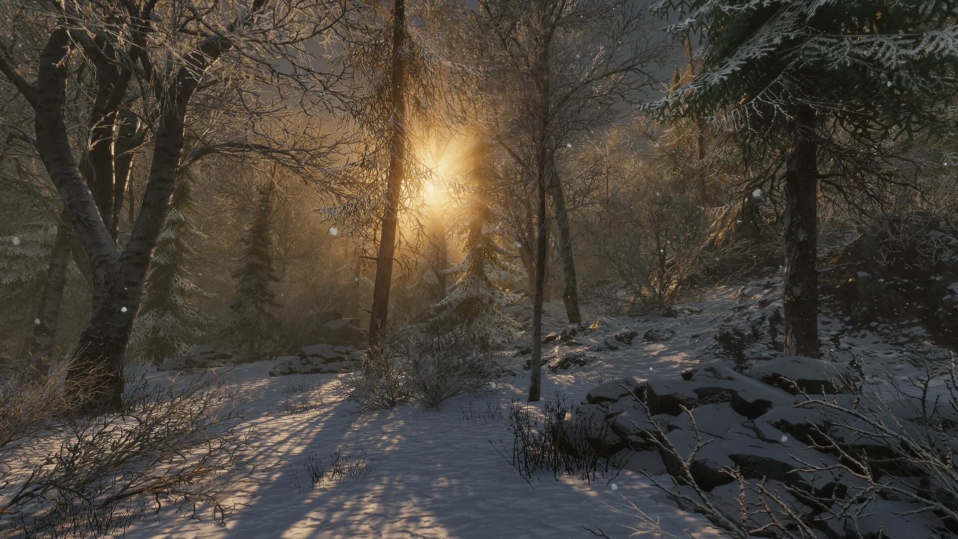 Forest of Lost Wanderers görsel 6