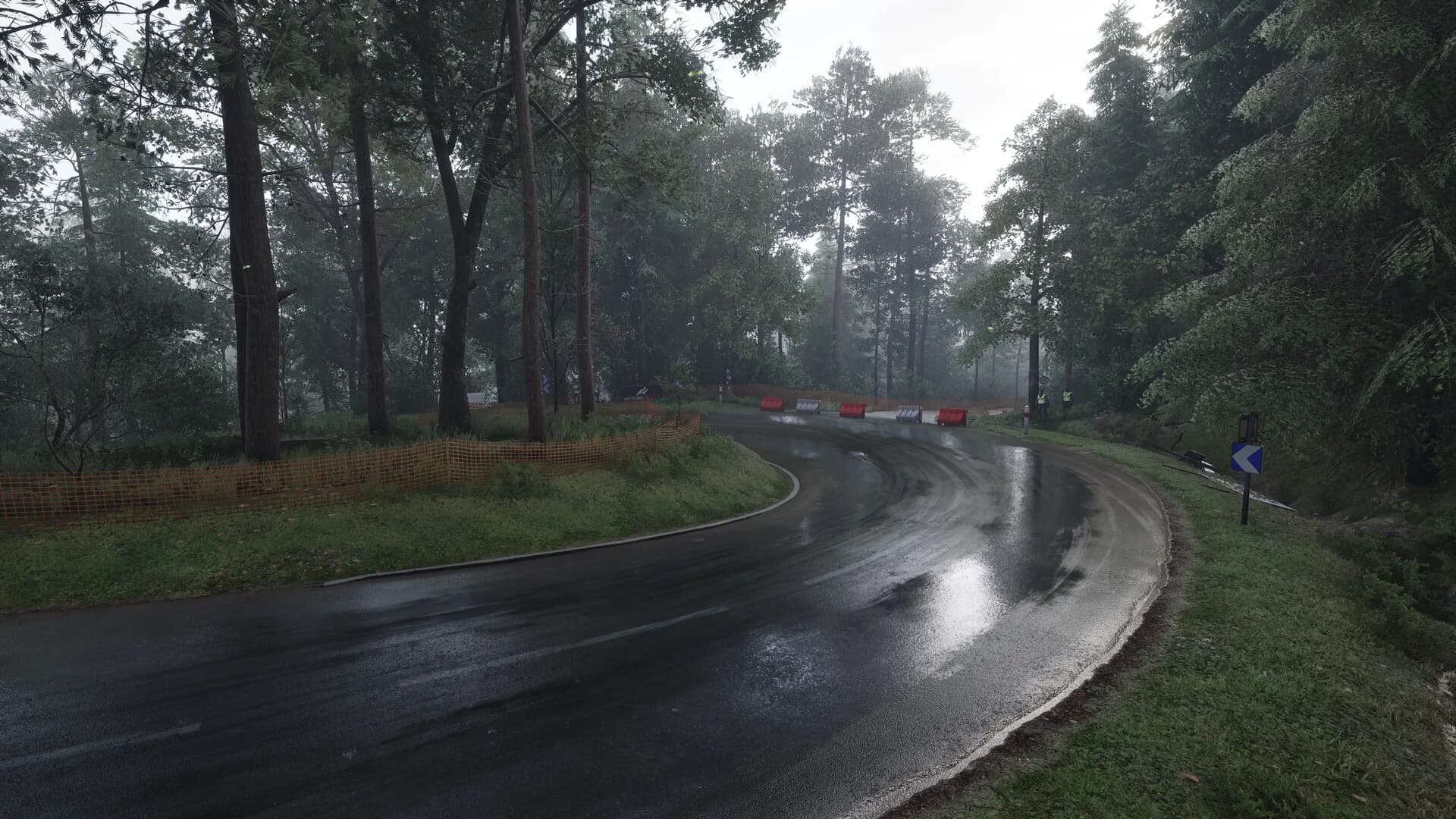 Assetto Corsa Rally görsel 102