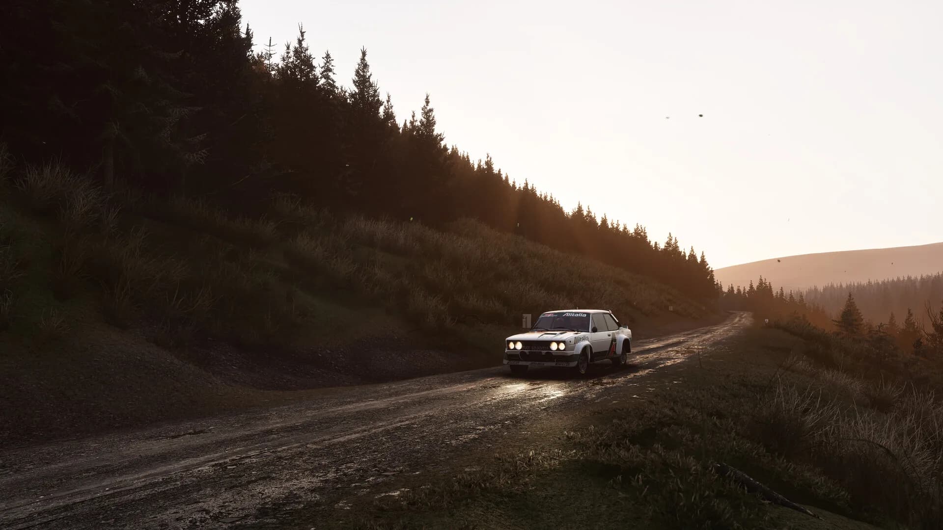Assetto Corsa Rally görsel 103