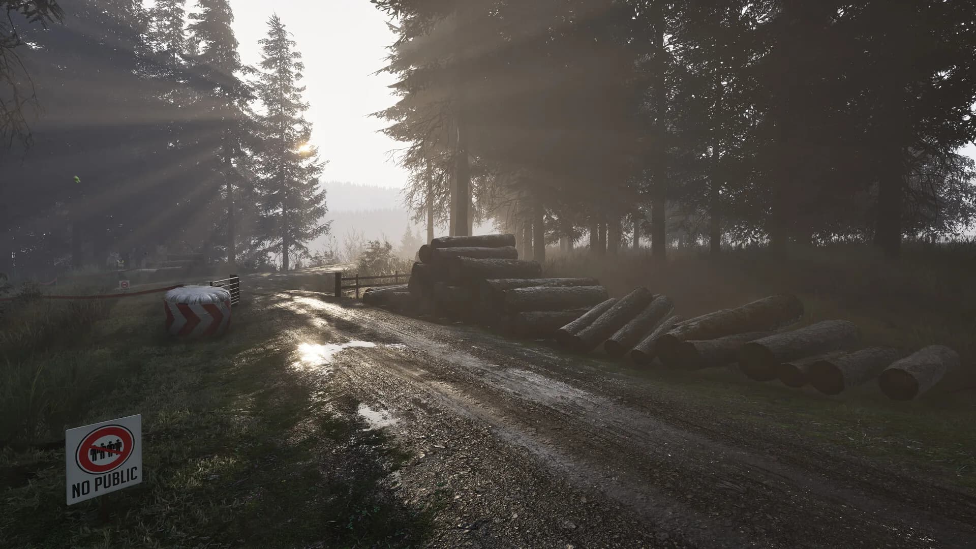 Assetto Corsa Rally görsel 104