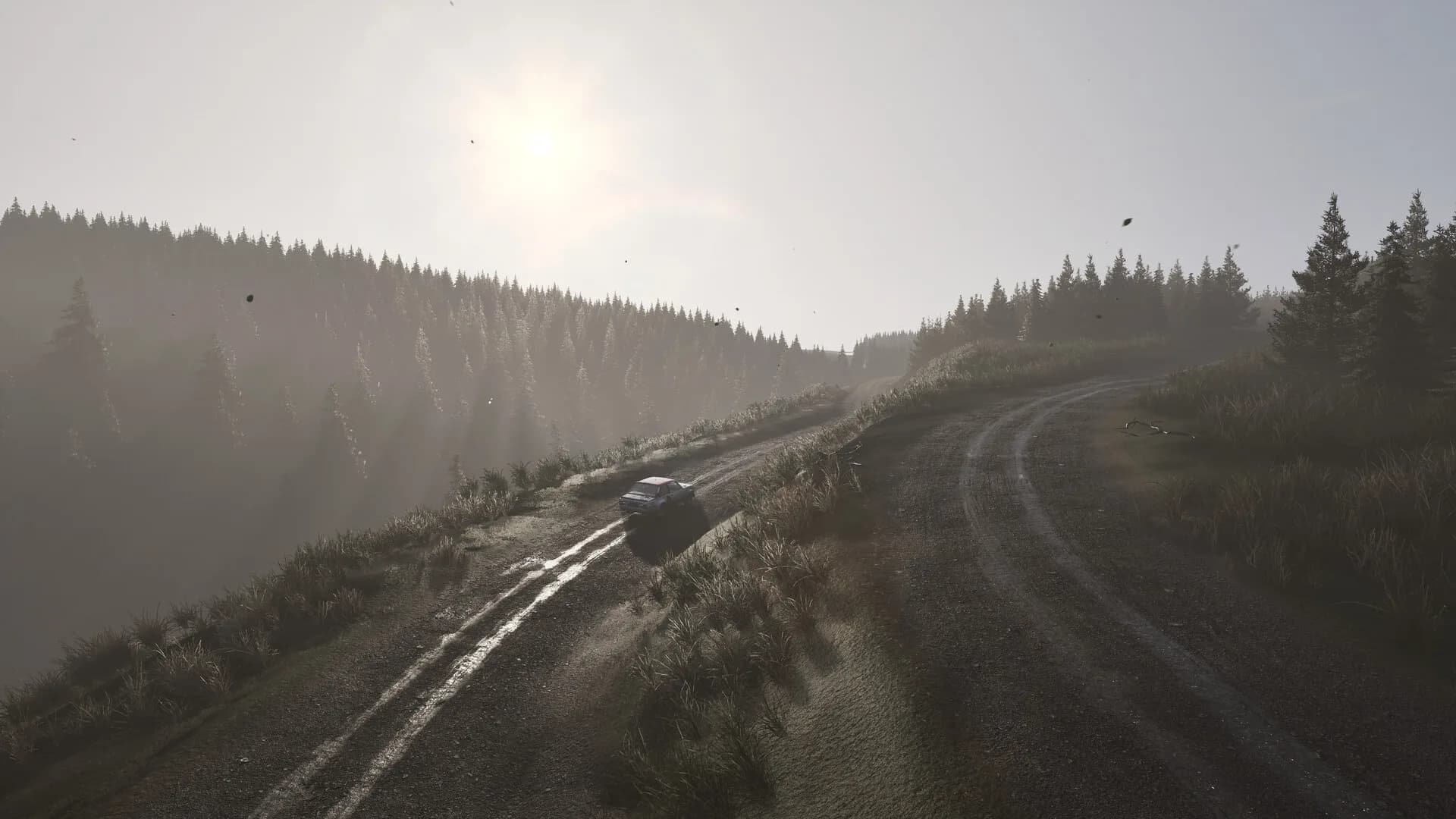 Assetto Corsa Rally görsel 105