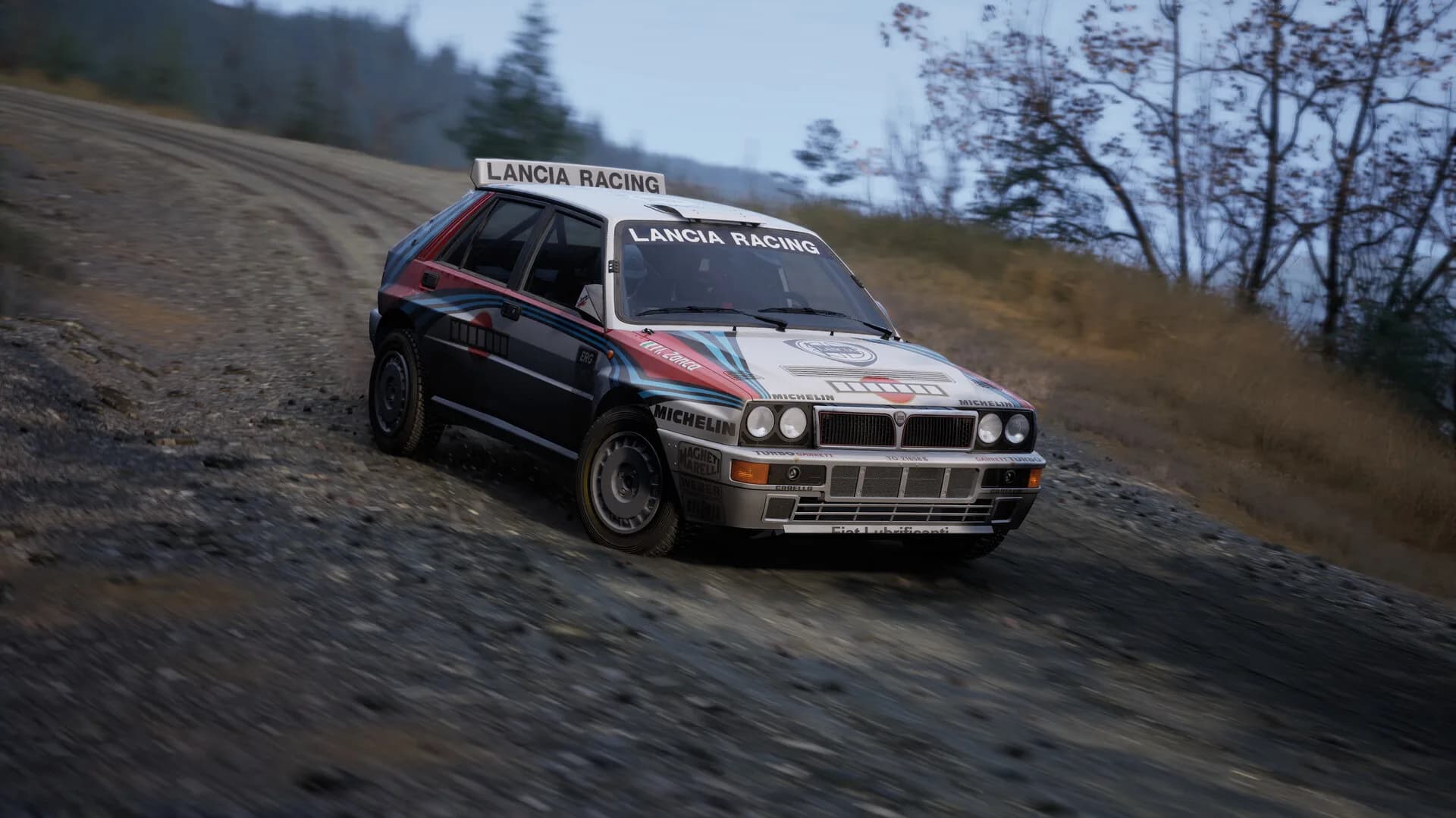 Assetto Corsa Rally görsel 107