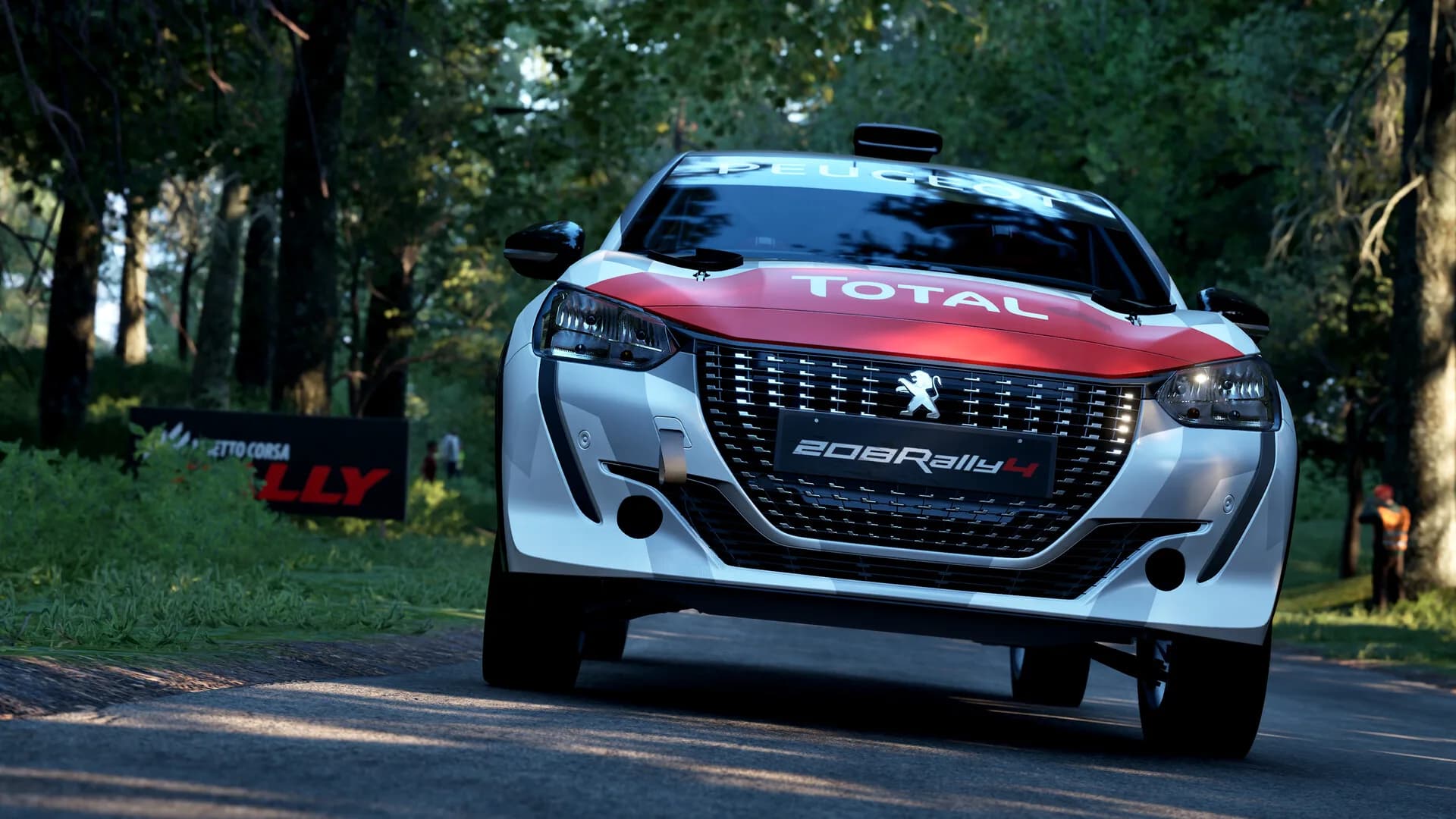 Assetto Corsa Rally görsel 112