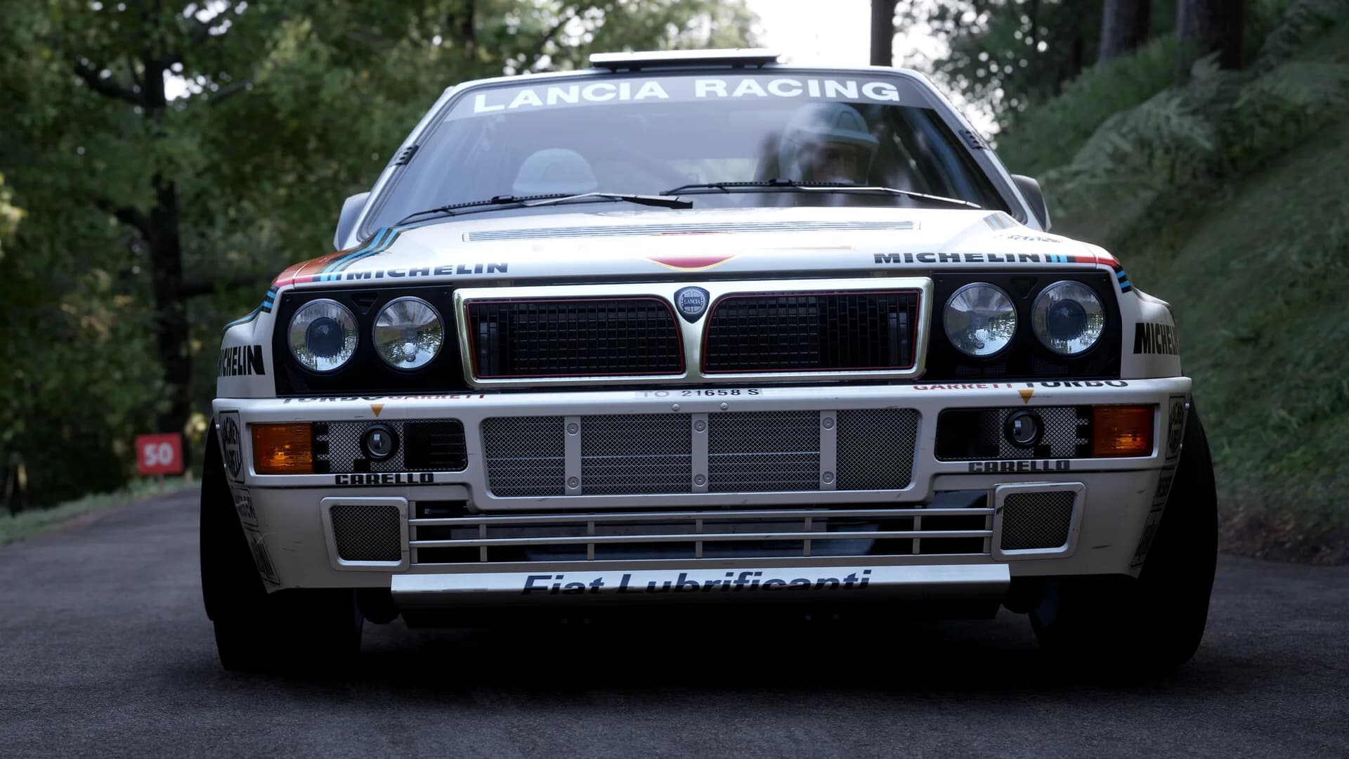 Assetto Corsa Rally görsel 114