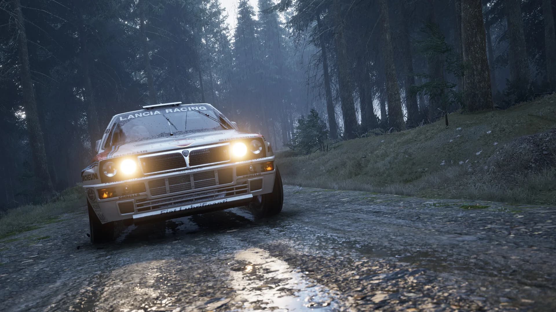 Assetto Corsa Rally görsel 124