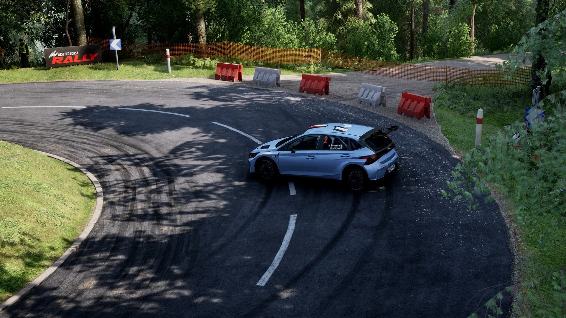 Assetto Corsa Rally görsel 125