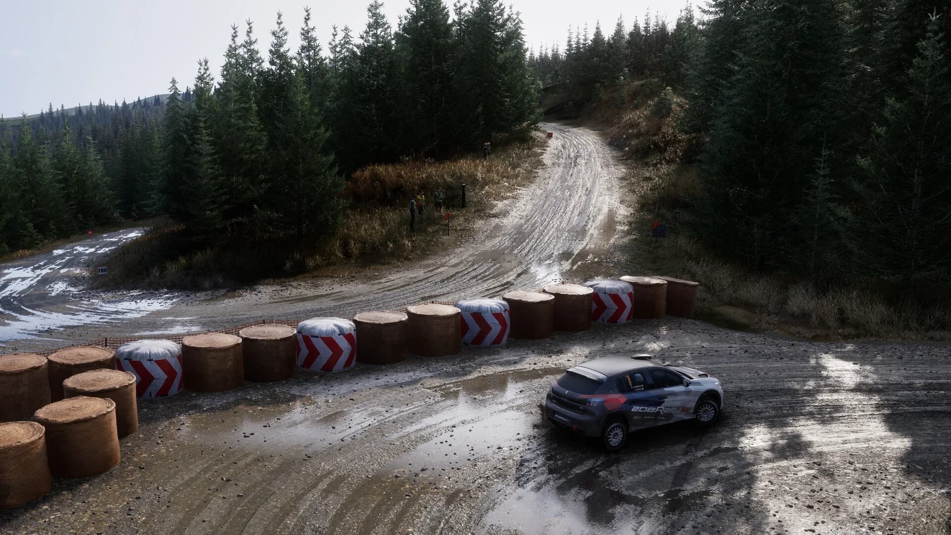 Assetto Corsa Rally görsel 128
