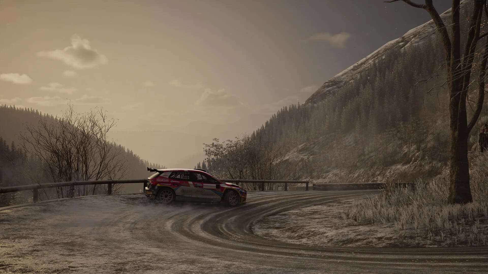 Assetto Corsa Rally görsel 15