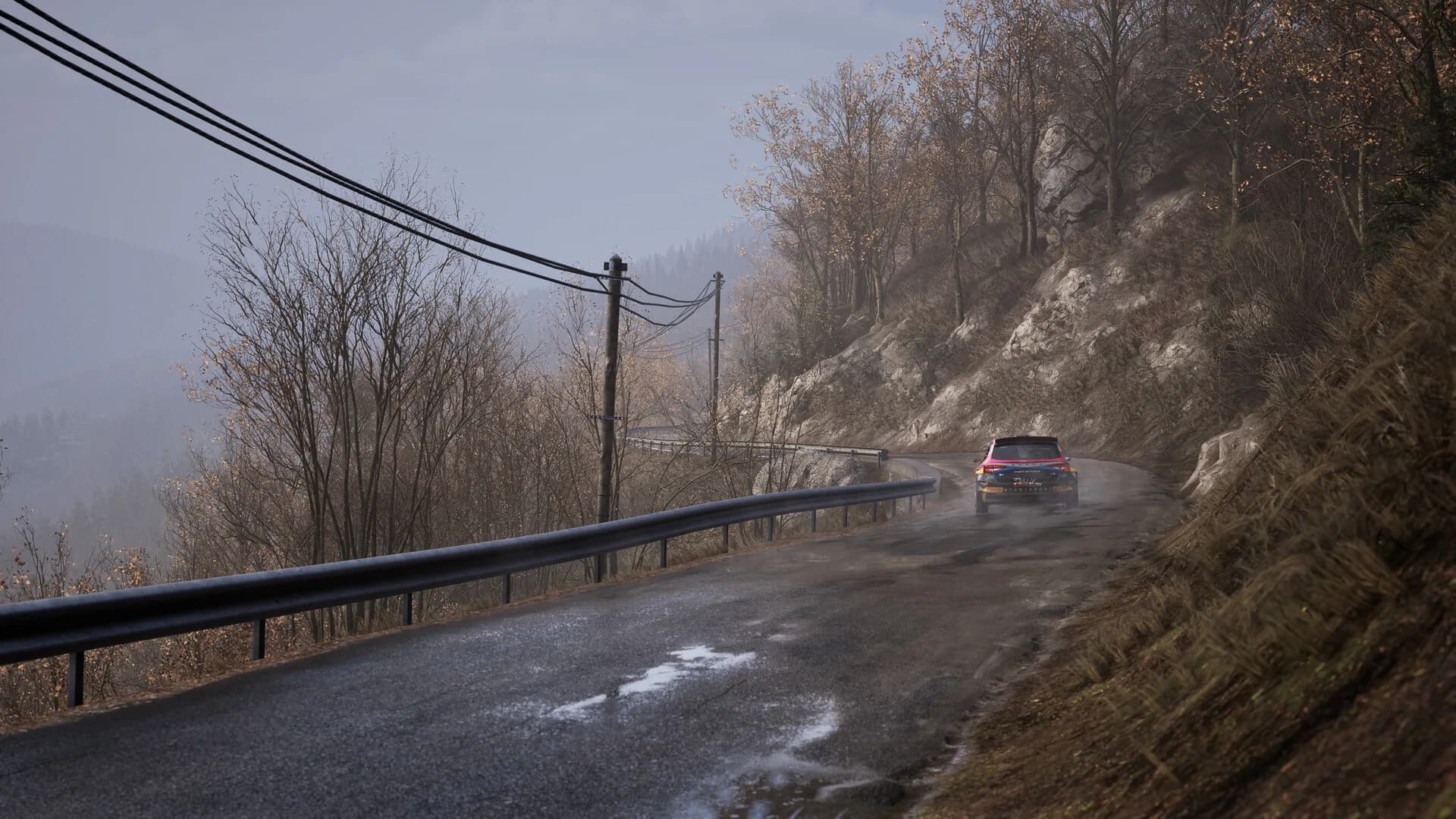 Assetto Corsa Rally görsel 17