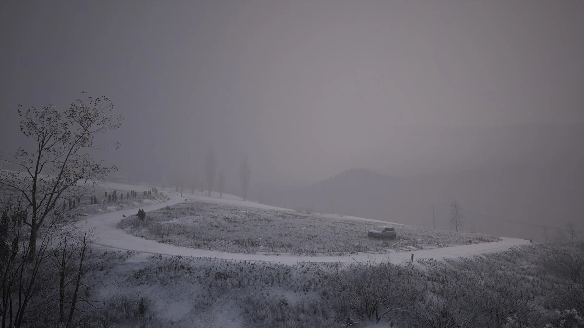 Assetto Corsa Rally görsel 18