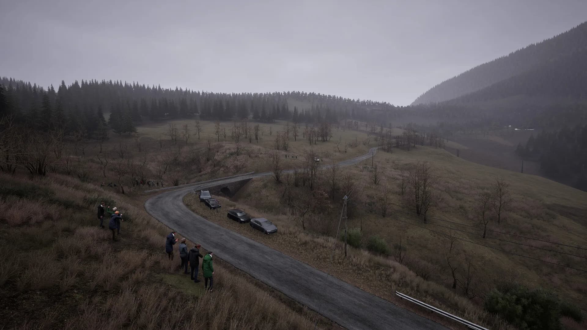 Assetto Corsa Rally görsel 19