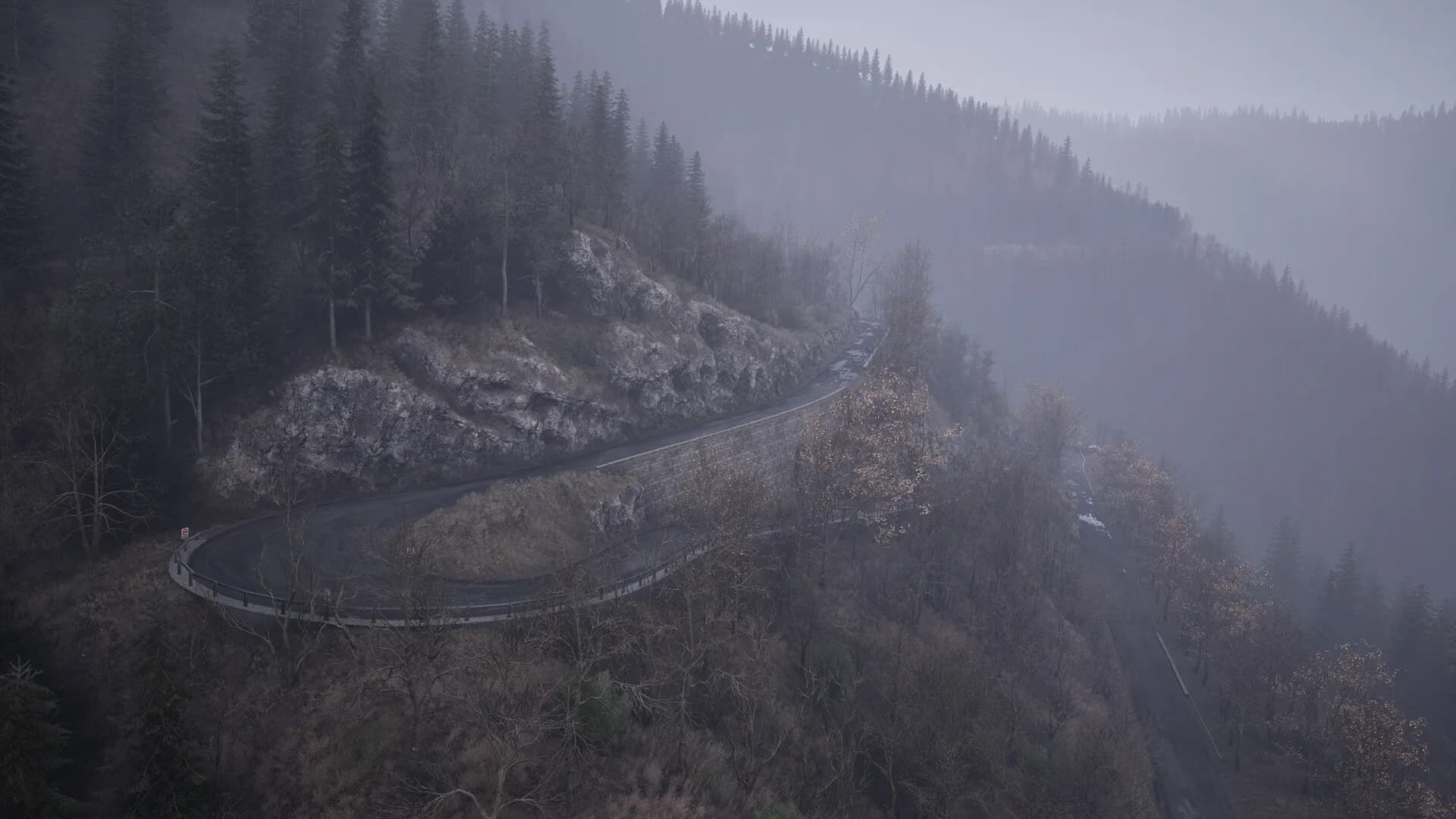 Assetto Corsa Rally görsel 21